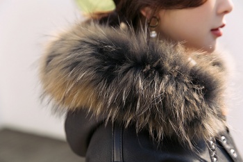  17143 貉子毛毛领短款皮毛一体	