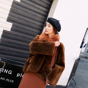  1793 土耳其美丽如皮毛一体	