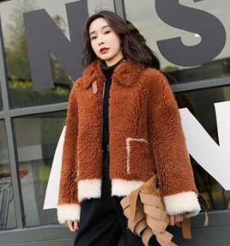  17216 美丽如皮毛一体	