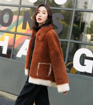  17216 美丽如皮毛一体	