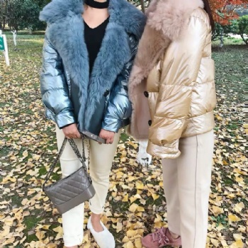 17113 Jacket Down Coat With Toscana Collar