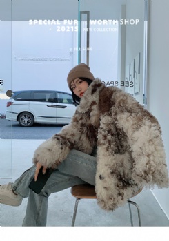  提格拉多立领牛角扣短款皮毛一体 YW508	