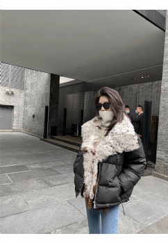  BK284-Down-Coat-With--Removable-Tigrado-Collar	