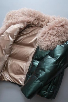  20406 西班牙提个拉多羊羔毛皮毛一体	