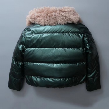  20406 西班牙提个拉多羊羔毛皮毛一体	